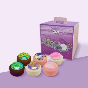 Haagen Dazs Mooncake Set Haagen Dazs Mooncake Set